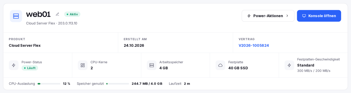 Kopf der Serverseite mit Status, Ressourcen, Festplatten-Geschwindigkeit und aktueller Auslastung