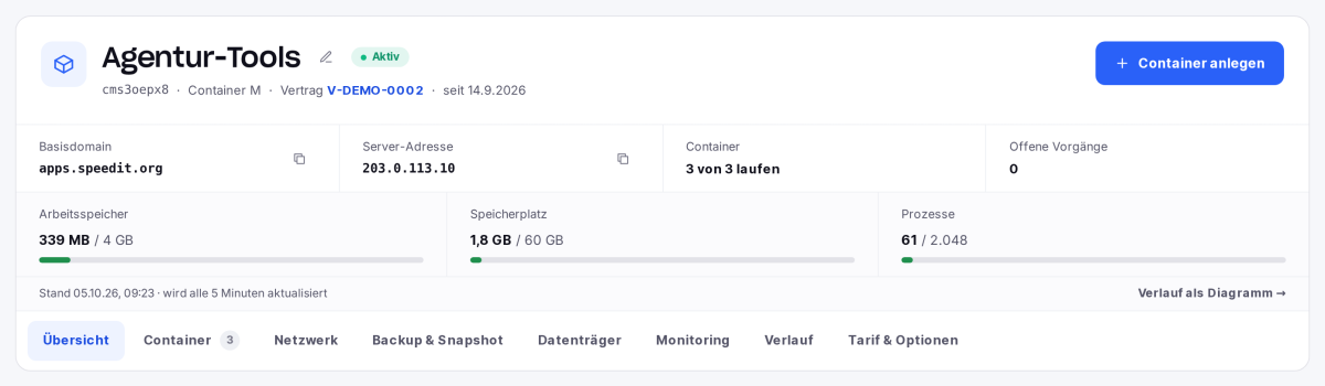 Kopf eines Container-Projekts mit Basisdomain, Server-Adresse, Auslastung und den Reitern