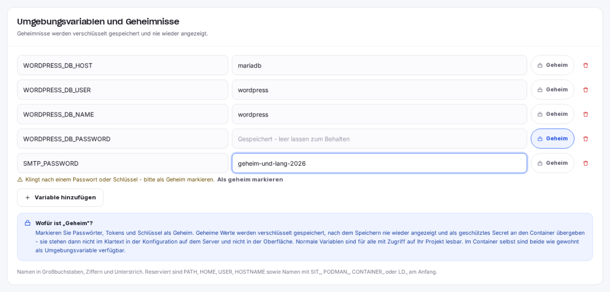 Umgebungsvariablen und Geheimnisse in den Einstellungen eines Containers mit Hinweis auf ein ungeschütztes Passwort