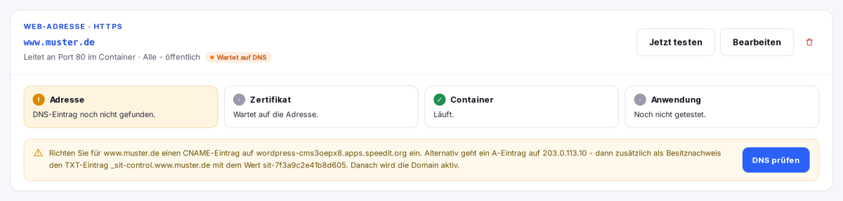 Eigene Domain mit Status „Wartet auf DNS" und Hinweis auf den nötigen CNAME- oder A-Eintrag