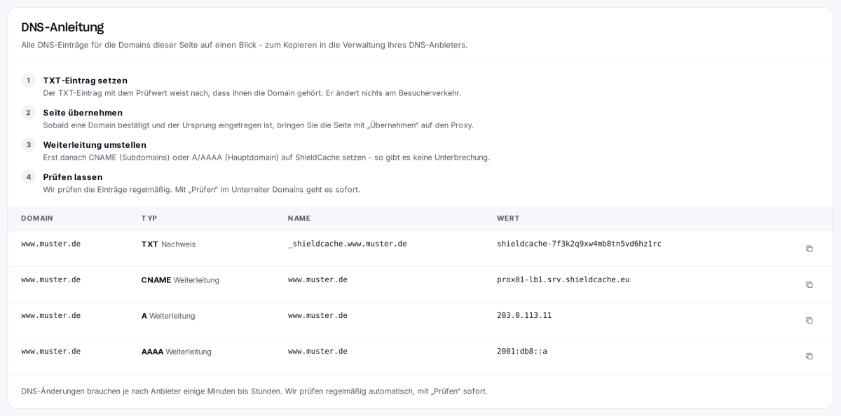 DNS-Anleitung mit den Schritten und allen DNS-Einträgen zum Kopieren